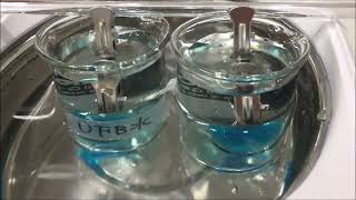 UFB DUAL Biofilm detachment Test