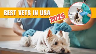 Best Vets in the USA 2025 🐶🏥 | Top Animal Hospitals & Pet-Friendly Cities!