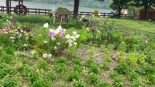 공주 계룡 경천 신원사 양화 저수지 글램핑장.