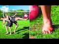 Playing Soccer But With A Bowling Ball!