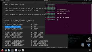 echo command - change output color | BASH scripting