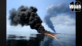 12 Shocking Facts About The BP Oil Spill