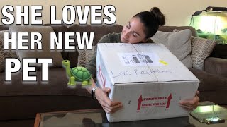 HE SENT WHAT???! MATA MATA TURTLE \u0026 SURPRISE UNUSUAL SNAKE UNBOXING!!