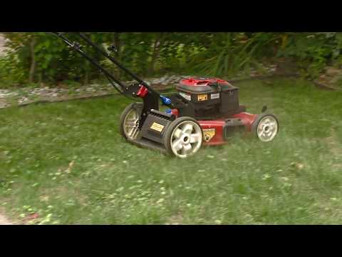 Lawn fungus on the rise due to heat Lawn fungus on the rise due to heat