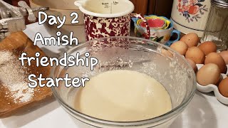 Update on Amish friendship Bread starter / Mr. Brown catches me off guard again!