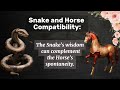 snake 🐍 the chinese zodiac sign🪧🌒 characteristics and compatibility