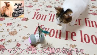 アマゾンで買った猫の電動おもちゃレビュー