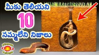 10 Amazing Telugu Facts from Around The World | నమ్మలేని నిజాలు తెలుగులో I Planet Telugu