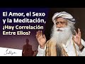 El amor, el sexo y la meditación, ¿hay correlación entre ellos? | Sadhguru