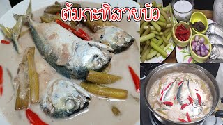 ต้มกะทิสายบัวปลาทู เมนูโบราณ ต้มวิธีนี้กะทิไม่แยกชั้น ข้นมันอร่อย Lotus Stem Mackerel Coconut Soup