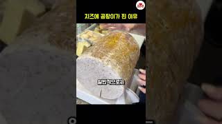 치즈에 곰팡이가 핀 이유