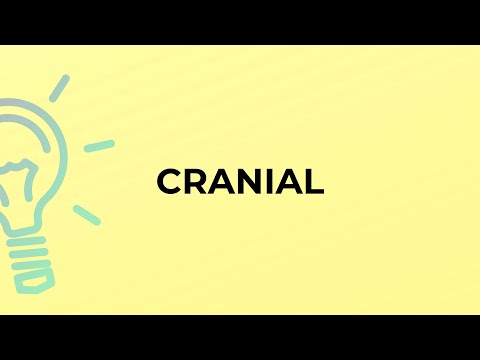 Is cranial a word?