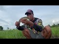 happy fishing sunday 🐟 fishing_video. ตกปลาช่อนเหยื่อสด🐟