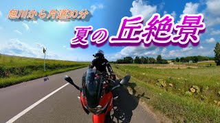 丘絶景【GSX250R】北海道