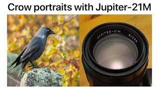 Jupiter-21M 200mm f/4 on Olympus E-1 | POV Photography and chilling with crows