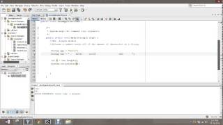 String Class Java length