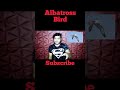 इस पक्षी ये बात आपको चोंका देगी 😱 albatross bird amazing facts about in hindi shorts