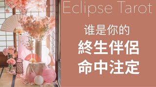 Eclipse 塔羅▪️▫️你的終身伴侶｜結婚對象｜另一半｜老公老婆｜性格外貌特徵 【全面 \u0026細節】你們如何相遇，你們何時相遇   塔羅占卜