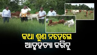 କଥା ଶୁଣ ନହେଲେ ଆତ୍ମହତ୍ୟା କରିବୁ | Odisha Reporter