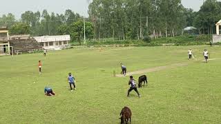 বাজে কিপিং এ  সুযোগ হাতছাড়া