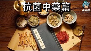 【魚老豆】水產養殖之 \