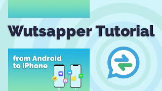 Mutsapper (Used name: Wutsapper) Tutorial - Transfer WhatsApp from Android to iPhone