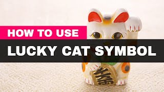 How to Use the Lucky Cat Symbol in Feng Shui