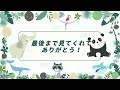 雨の日のお昼ご飯中キョウコさん【2022年12月22日】【上野動物園】マレーグマ