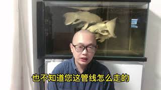 养观赏鱼，增氧泵到底是不是必须的？什么情况下需要使用？