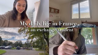 【vlog】フランス留学生の1日🇫🇷✨｜studying in French university