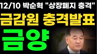 에코프로,금양 2차전지 금감원 \