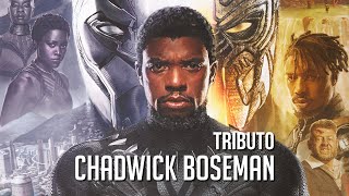 CHADWICK BOSEMAN - TRIBUTO EMOCIONANTE AO ATOR DE PANTERA NEGRA DA MARVEL ( NANDO PINHEIRO )