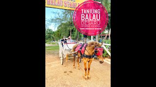 Tanjung Balau Horse Riding | What a beautiful world | DJI Osmo Pocket