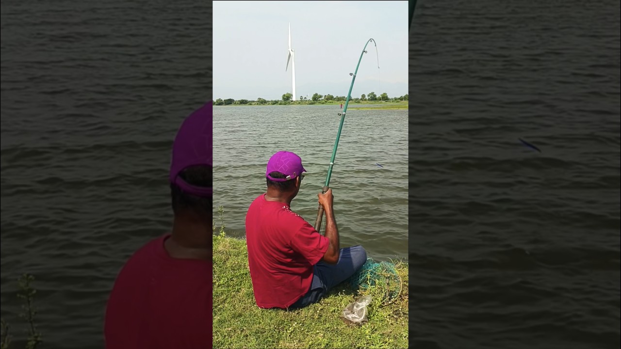 Incredible Fishing Techniques Shortsfeed Shorts Viral Trending