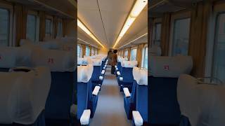 On board heritage train ETR252 Arlecchino in Italy | 70 years old EMU | trip report of ETR252