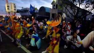 軌+紅龍里+藤華連春日部他「よっちょれ」／よさこい in KOUDE2011