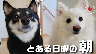 まったりな休日の朝