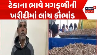 Mehsana MSP Corruption News | ટેકાના ભાવે મગફળીની ખરીદીમાં લાંચ કૌભાંડ | MSP | Ground Nut | News18