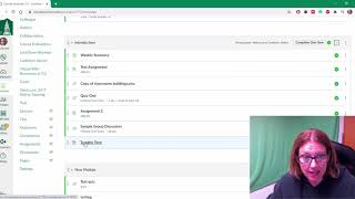 Canvas: Assignment integrating TurnItIn
