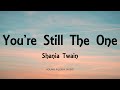 Shania Twain - You're Still The One (lyrics)