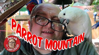 Parrot Mountain - Pigeon Forge, TN