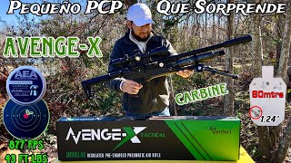 Air Venturi Avenge-x Tactical Carbine .25 El Mas Pequeño(Unboxing \u0026 Review