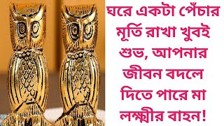 ঘরে একটা পেঁচার মূর্তি রাখা খুবই শুভ, আপনার জীবন বদলে দিতে পারে মা লক্ষ্মীর বাহন🙏#youtubetrending