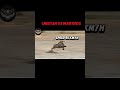 cheetah vs warthog trending viralvideo shorts short cheetah warthog wildlife youtubeshorts