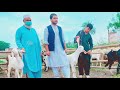 Visit Nadir Goat farm Dera Ghazi Khan in Pakistan 🇵🇰