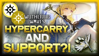 Phoebe: Insane Unit With Future Value?! - Complete Guide, Build and Teams | Wuthering Waves