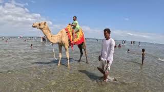 Massawa Eritrea, Red Sea, Gurgusum Beach 4K @60 FPS