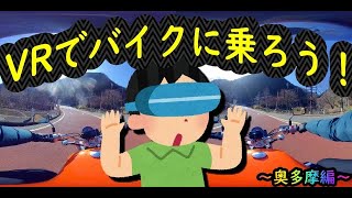 【3DVR】VRで奥多摩周遊路【VT400S】【車載動画】