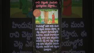 మనం తెలుసుకోవలసినవి || #jeevithasatyalu #manchimatalu #satyavachanalu