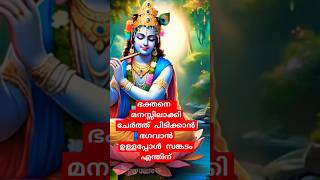 നമ്മുടെ ഹൃദയവേദന മനസ്സിലാക്കി ചേർത്തുപിടിക്കാൻ കൃഷ്ണൻ ഉള്ളപ്പോൾ എന്തിനീ സങ്കടം #krishna #guruvayur